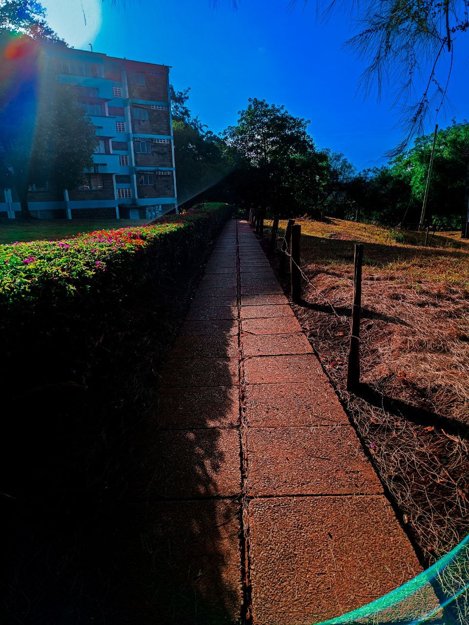 a path with a building in the background